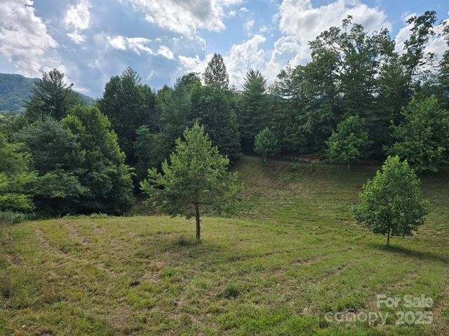 71 Banks Creek Road, Burnsville, NC 28714