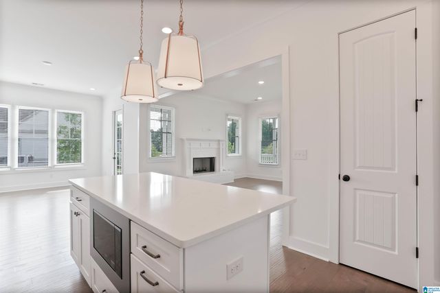 00537 PRESERVE WAY, Hoover, AL 35226