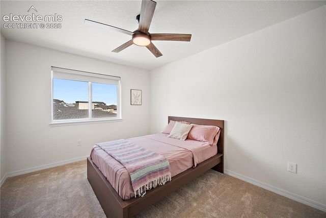 9334 Warrick Street, Colorado Springs, CO 80924