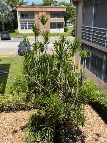 125 PIEDMONT C, Delray Beach, FL 33484