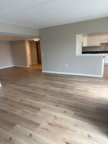 14100 Sheffield Drive 203, Homer Glen, IL 60491