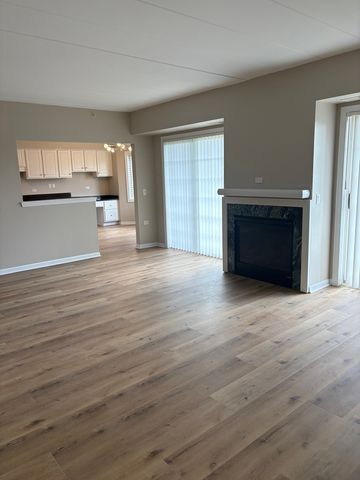 14100 Sheffield Drive 203, Homer Glen, IL 60491