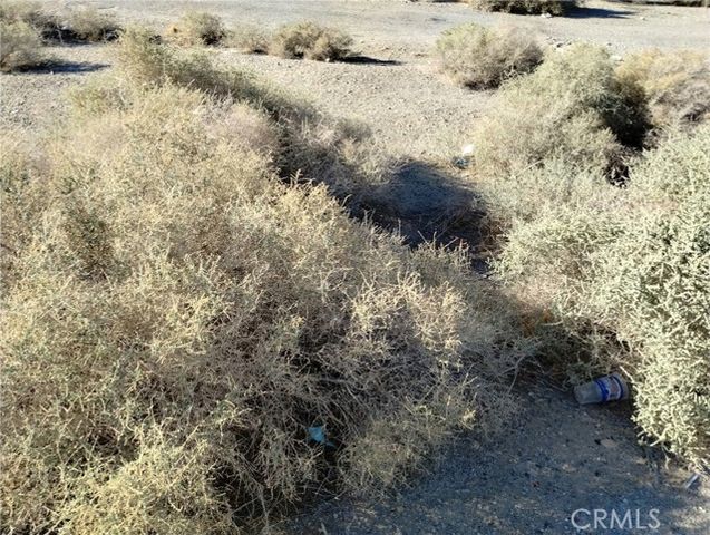 1613 Riverside Drive, Barstow, CA 92311