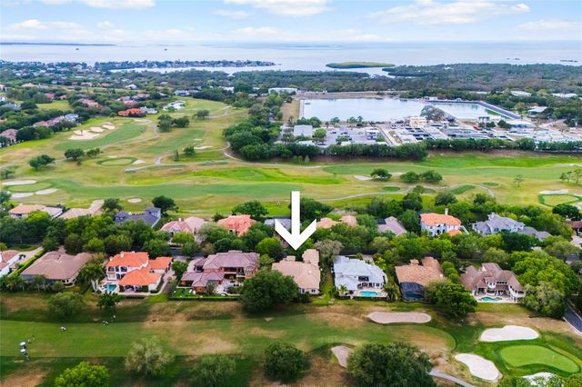 1368 PLAYMOOR DRIVE, Palm Harbor, FL 34683