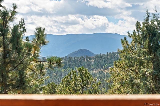479 Doe Circle, Bailey, CO 80421