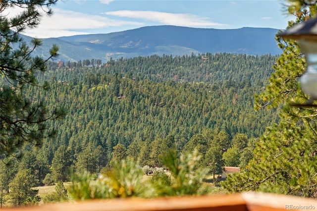 479 Doe Circle, Bailey, CO 80421