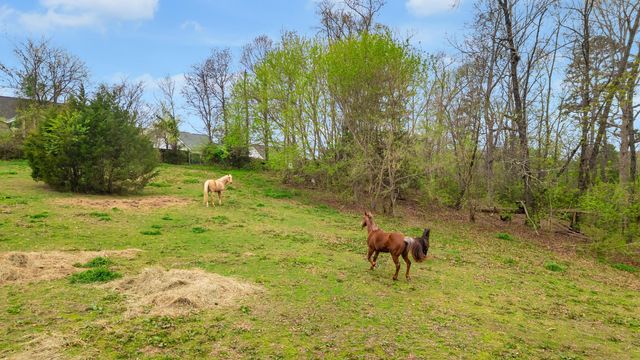 1065 Baggett Road, Ringgold, GA 30736