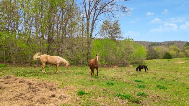 1065 Baggett Road, Ringgold, GA 30736
