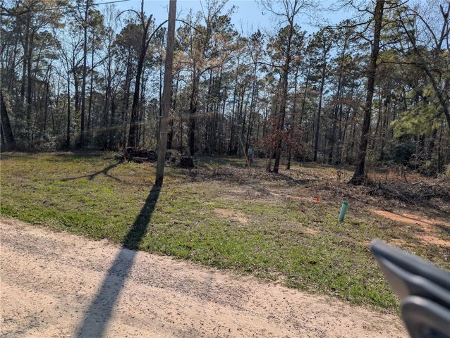 195 Moonlite Drive, Livingston, TX 77351