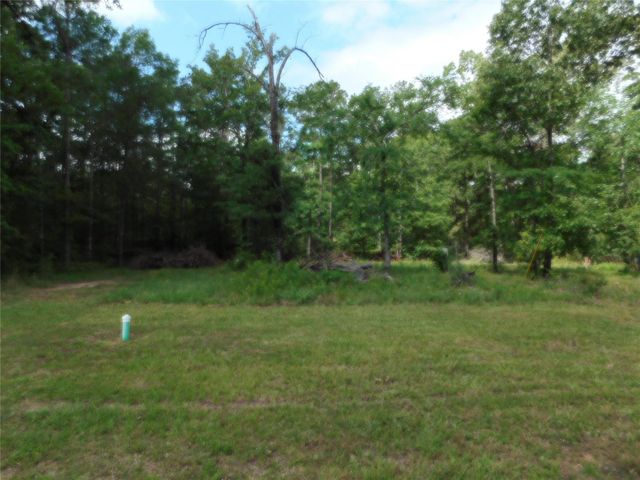 195 Moonlite Drive, Livingston, TX 77351