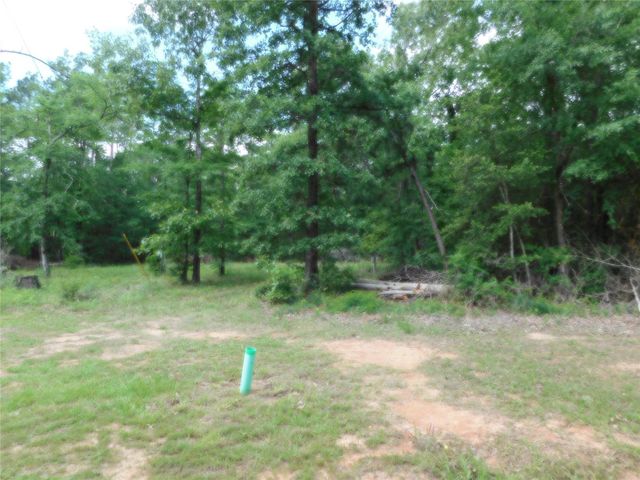 195 Moonlite Drive, Livingston, TX 77351