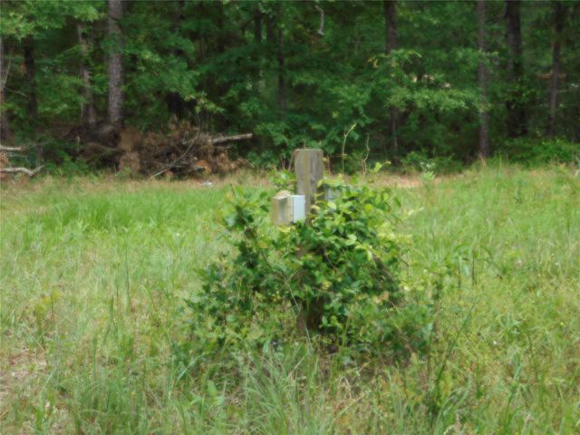195 Moonlite Drive, Livingston, TX 77351