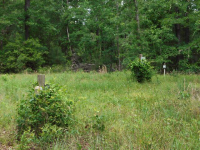 195 Moonlite Drive, Livingston, TX 77351