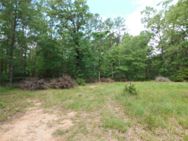 195 Moonlite Drive, Livingston, TX 77351