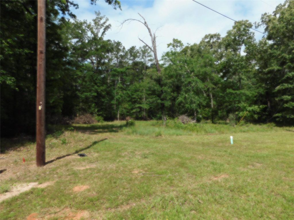 195 Moonlite Drive, Livingston, TX 77351