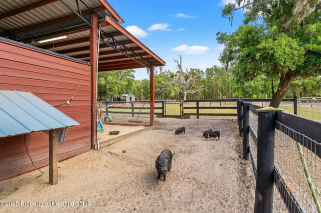 3431 Saturn Road, Brooksville, FL 34604