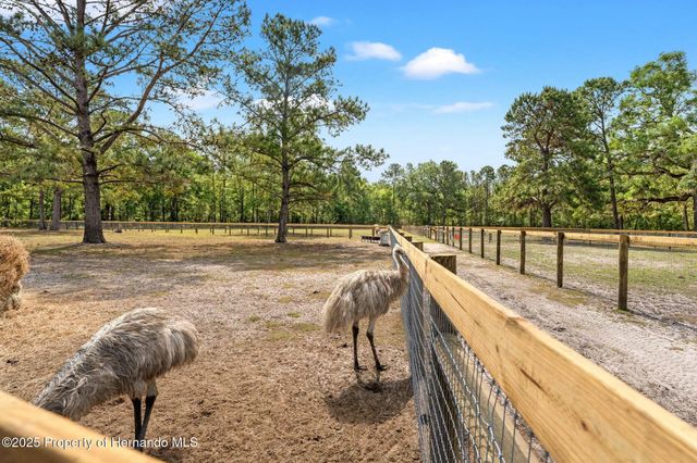 3431 Saturn Road, Brooksville, FL 34604