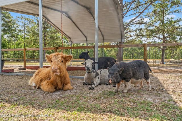 3431 Saturn Road, Brooksville, FL 34604