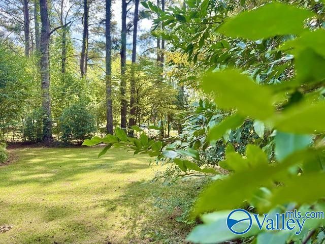 1615 Woodland Street, Decatur, AL 35601