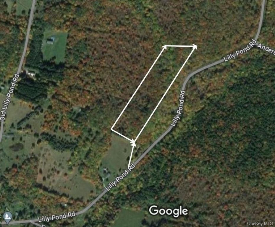 Lily Pond Road, Parksville, NY 12768