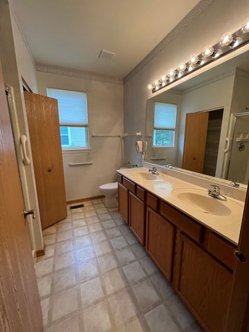 651 S Mecosta Lane, Romeoville, IL 60446