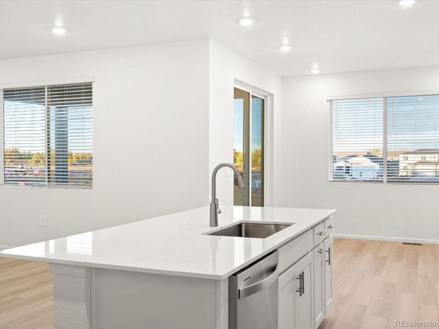 1621 Yampa River Drive, Windsor, CO 80550