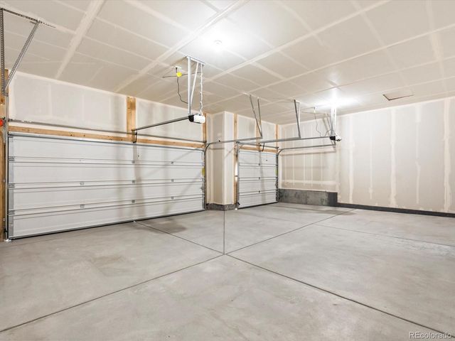 1621 Yampa River Drive, Windsor, CO 80550