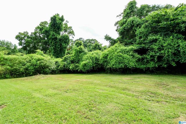 704 OLGA ANN DRIVE, Weaver, AL 36277