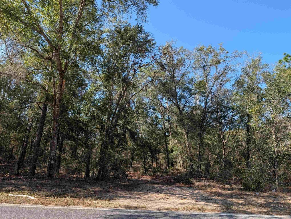 475 Baden Powell Rd, Hawthorne, FL 32640