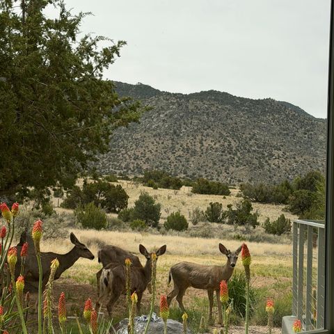 8504 Snakedance Court NE, Albuquerque, NM 87111