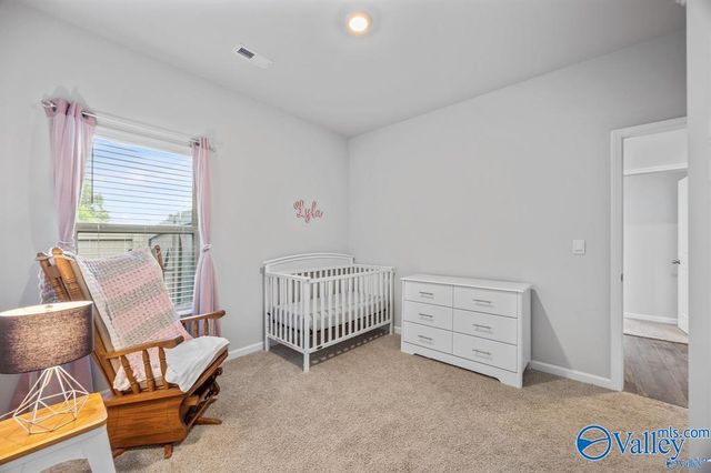 13348 Golden Hay Circle, Madison, AL 35756