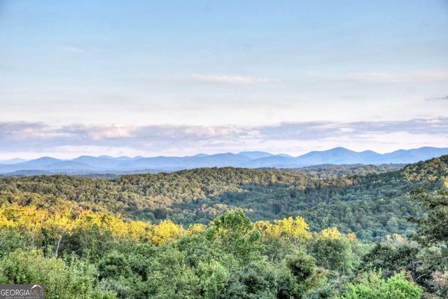 100 Haven Lane 5, Blue Ridge, GA 30513