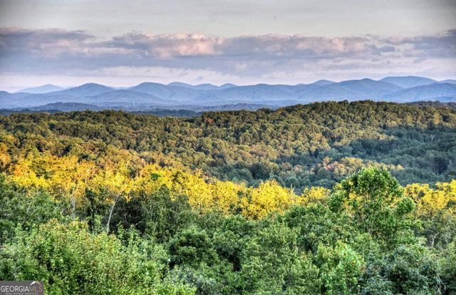 100 Haven Lane 5, Blue Ridge, GA 30513