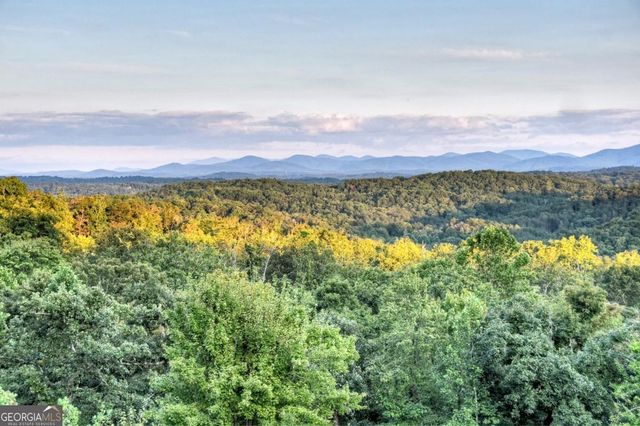 100 Haven Lane 5, Blue Ridge, GA 30513