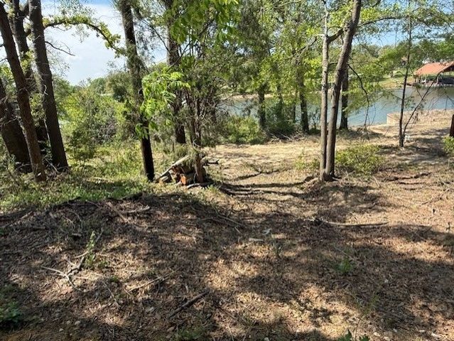 0 Smothers Road, Caney City, TX 75148