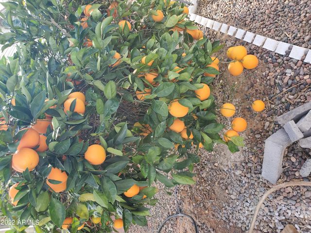 7750 E BROADWAY Road 857, Mesa, AZ 85208