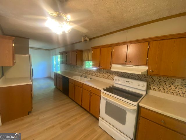 25 Stonewall Street, Ball Ground, GA 30107