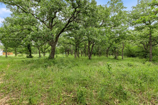 1999 Sunflower Road, Paradise, TX 76073