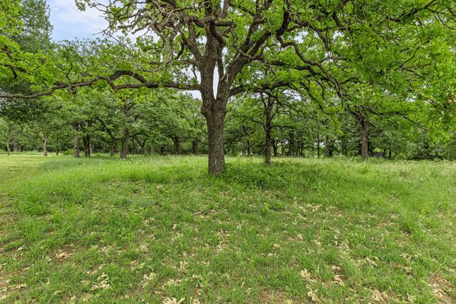 1999 Sunflower Road, Paradise, TX 76073