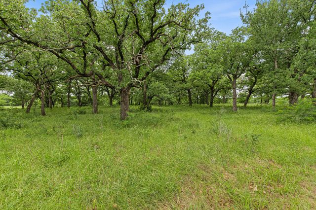 1999 Sunflower Road, Paradise, TX 76073