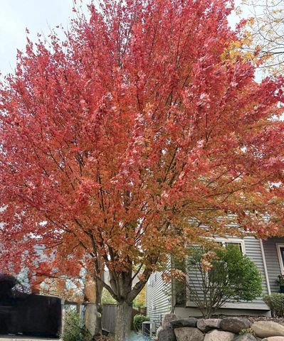 9014 Pine Hollow Place, Verona, WI 53593