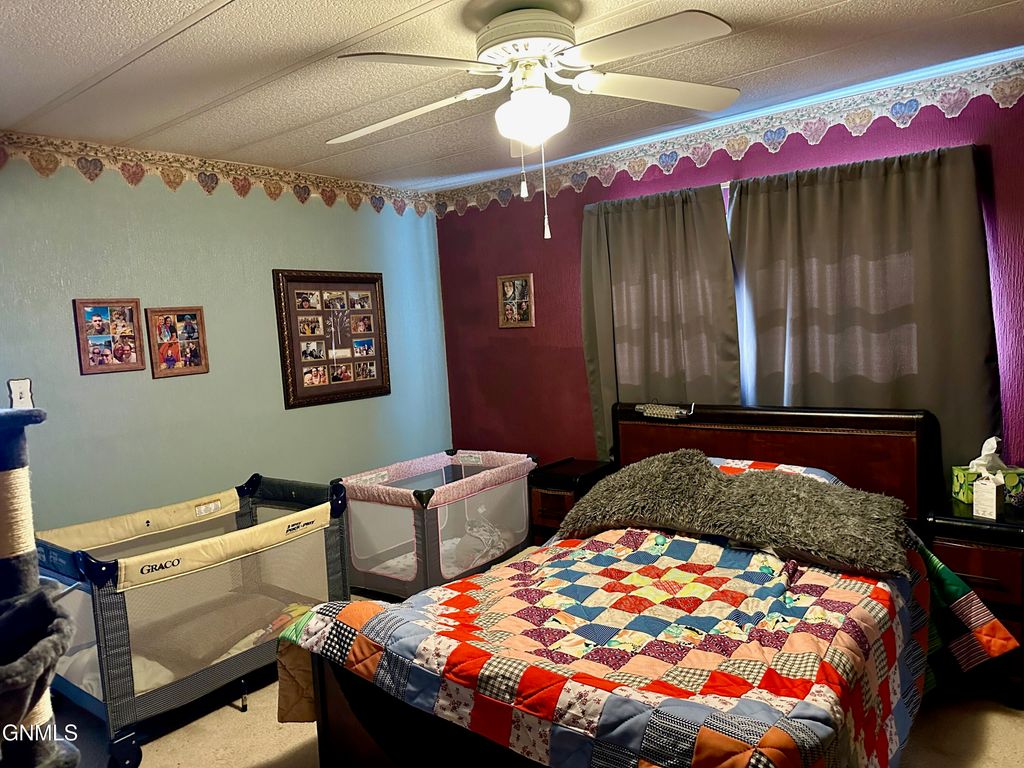 1003 Western Park, Jamestown, ND 58401 photo 13