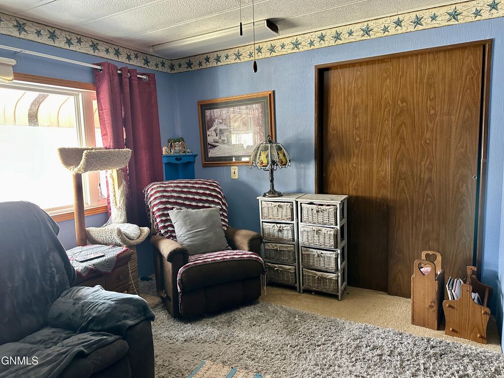 1003 Western Park, Jamestown, ND 58401 photo 9