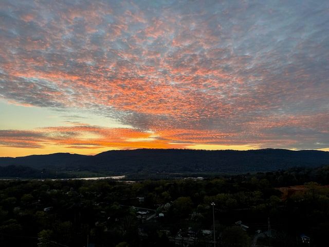 1131 Stringers Ridge Road 9j, Chattanooga, TN 37405