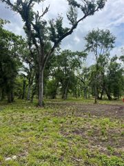 4227 County Road 347 Road, Brazoria, TX 77422