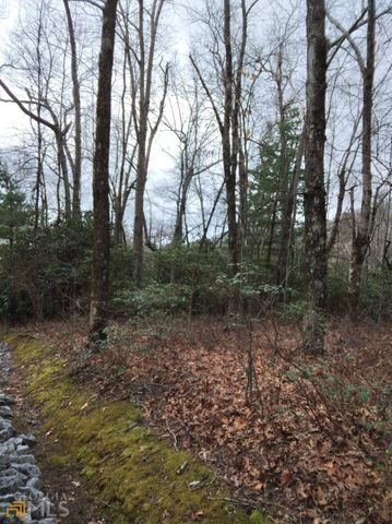 0 LOT 10 & 11 Honey Bear LOT 10 & 11, Dillard, GA 30537