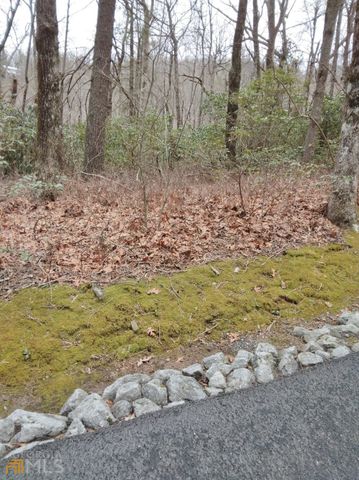 0 LOT 10 & 11 Honey Bear LOT 10 & 11, Dillard, GA 30537