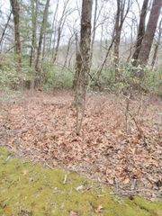 0 LOT 10 & 11 Honey Bear LOT 10 & 11, Dillard, GA 30537