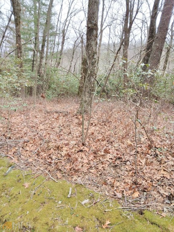 0 LOT 10 & 11 Honey Bear LOT 10 & 11, Dillard, GA 30537