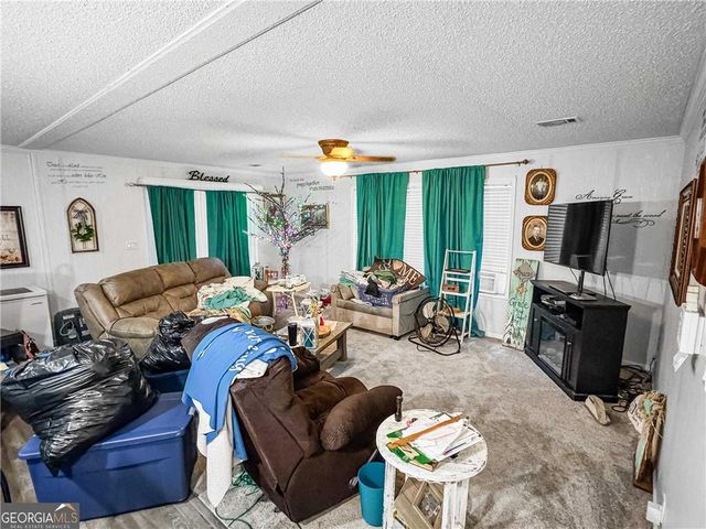 230 Surrett Road, Buchanan, GA 30113